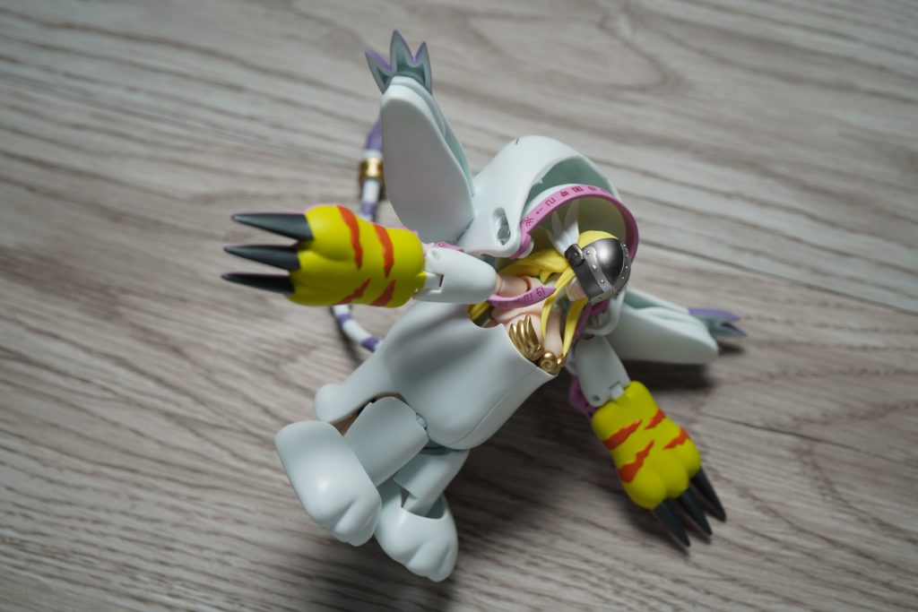 toy-review-digivolving-spirits-angewomon-philippines-just-very-random-28