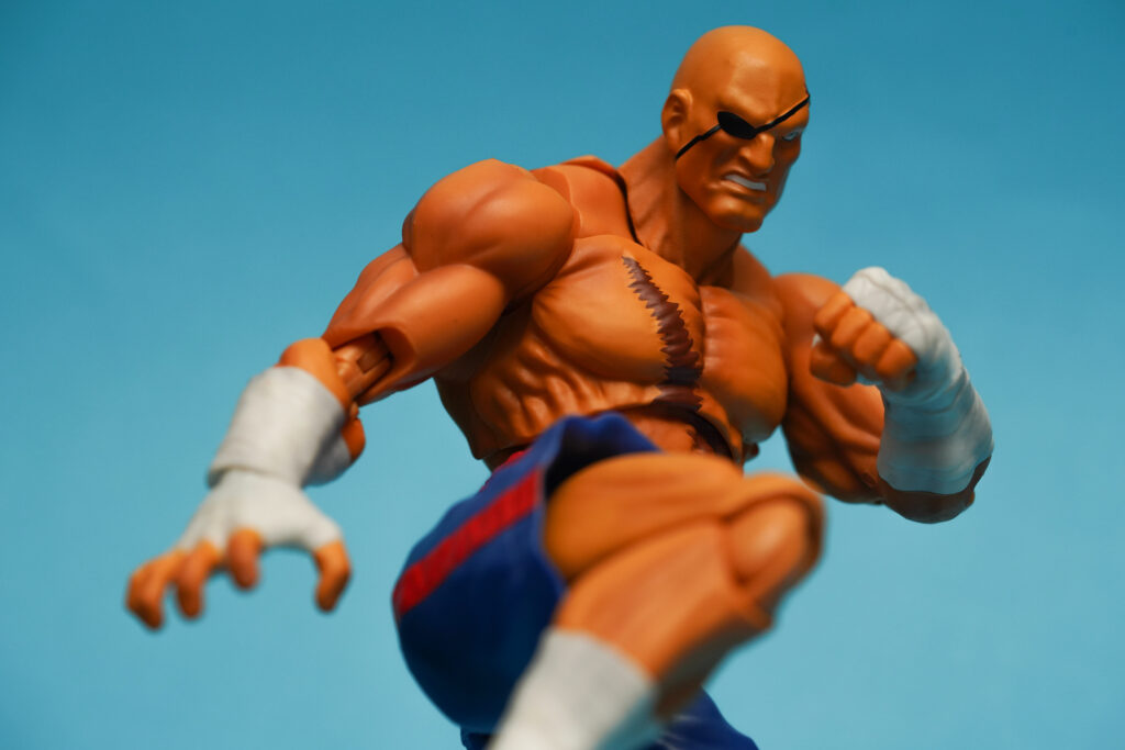 toy-review-s-h-figuarts-street-fighter-sagat-philippines-justveryrandom-3