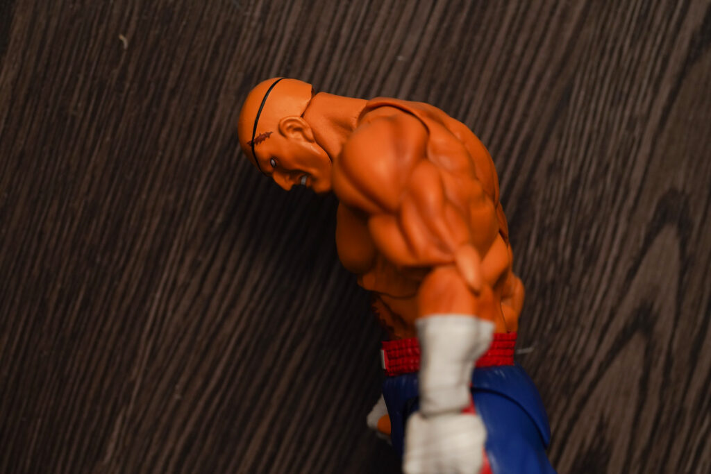 toy-review-s-h-figuarts-street-fighter-sagat-philippines-justveryrandom-35