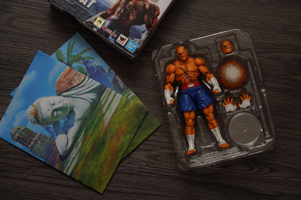 toy-review-s-h-figuarts-street-fighter-sagat-philippines-justveryrandom-48