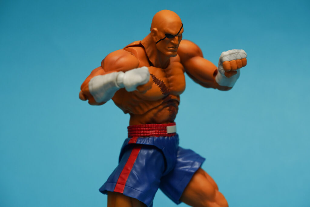 toy-review-s-h-figuarts-street-fighter-sagat-philippines-justveryrandom-5