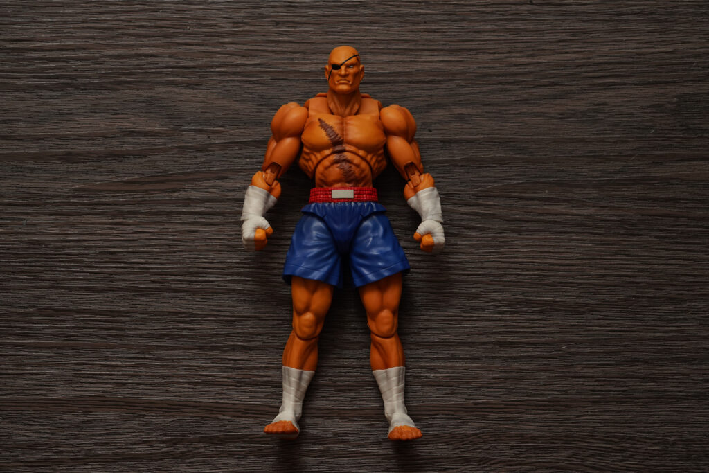 sagat toy