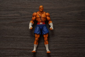 toy-review-s-h-figuarts-street-fighter-sagat-philippines-justveryrandom-54