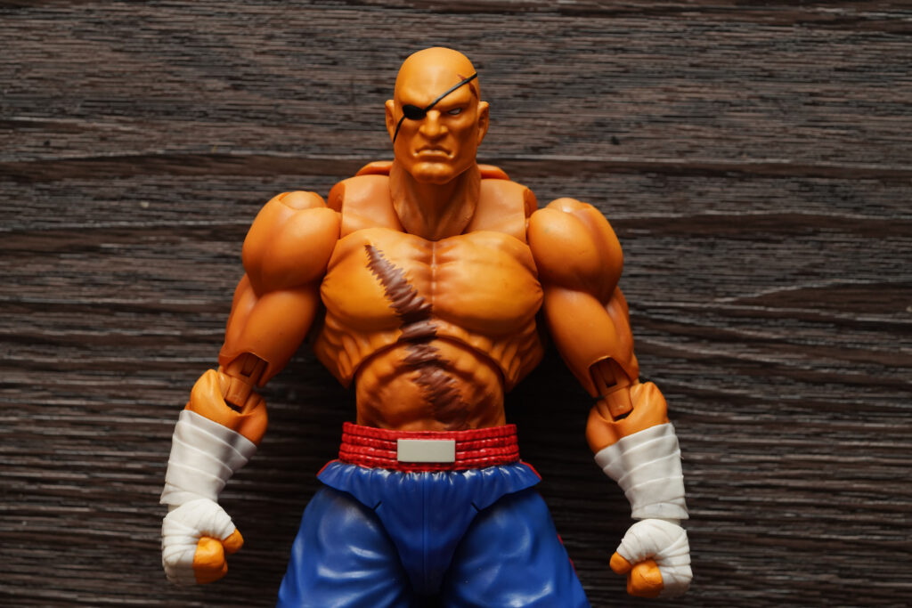 toy-review-s-h-figuarts-street-fighter-sagat-philippines-justveryrandom-56