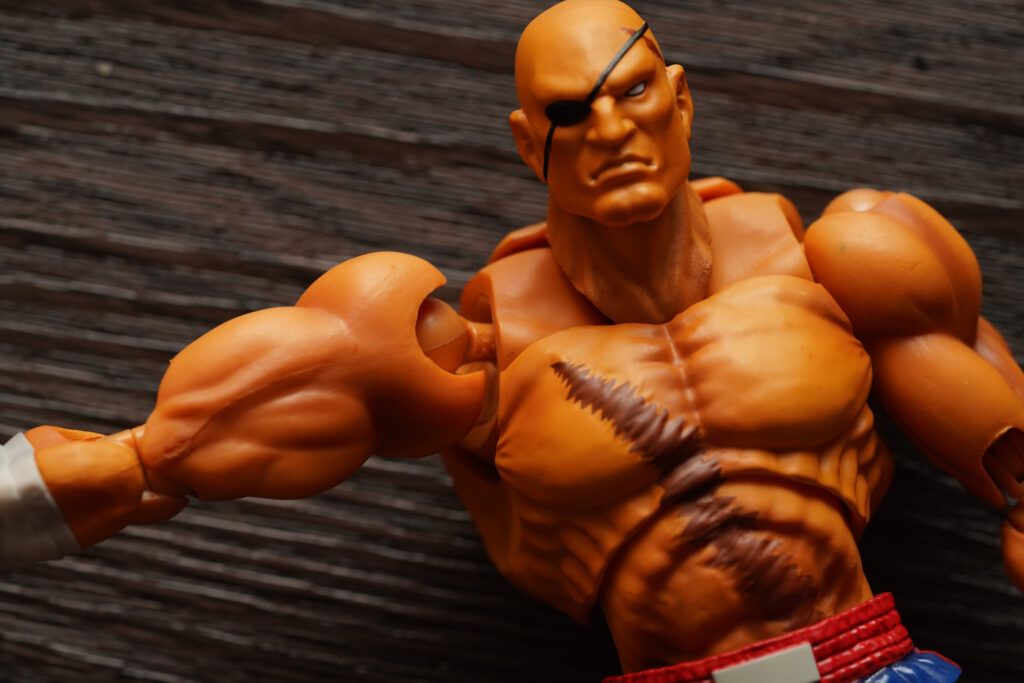 sagat toy