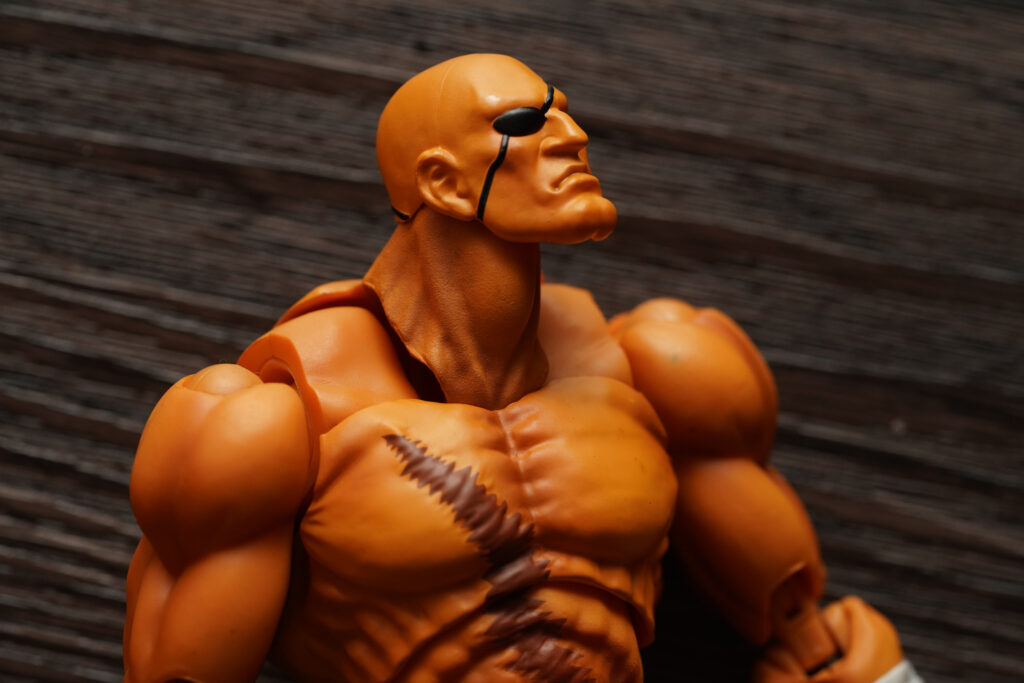 toy-review-s-h-figuarts-street-fighter-sagat-philippines-justveryrandom-59