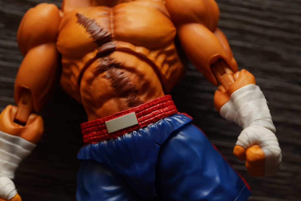 toy-review-s-h-figuarts-street-fighter-sagat-philippines-justveryrandom-60