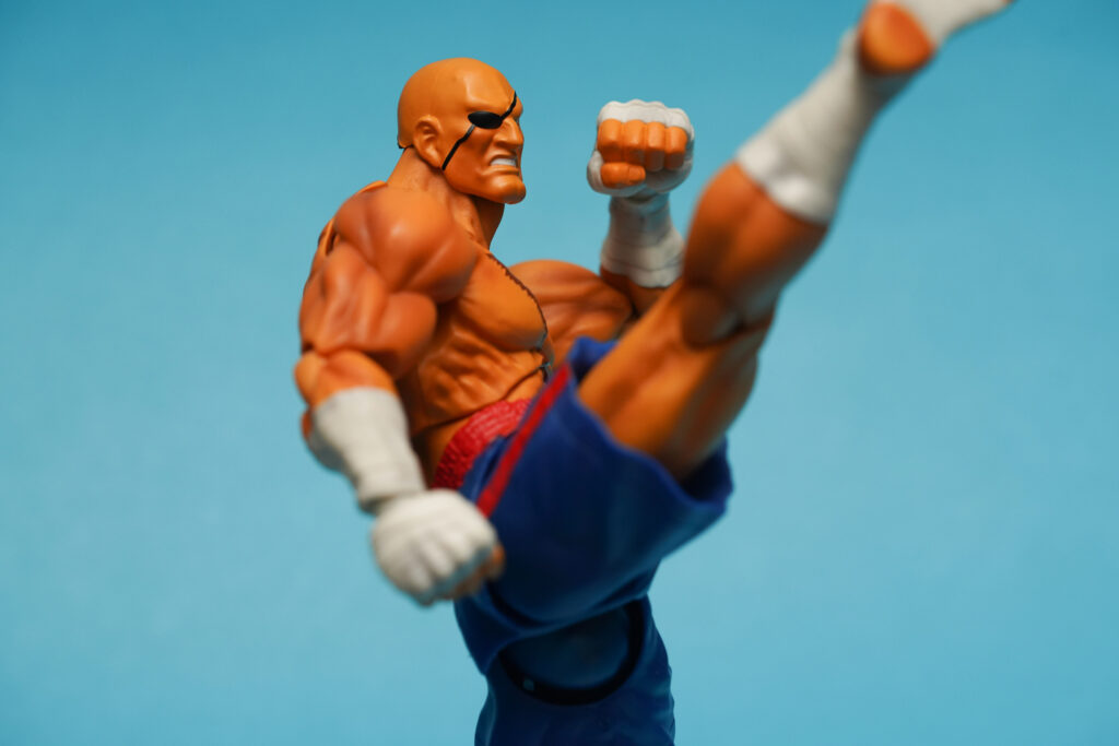 toy-review-s-h-figuarts-street-fighter-sagat-philippines-justveryrandom-9