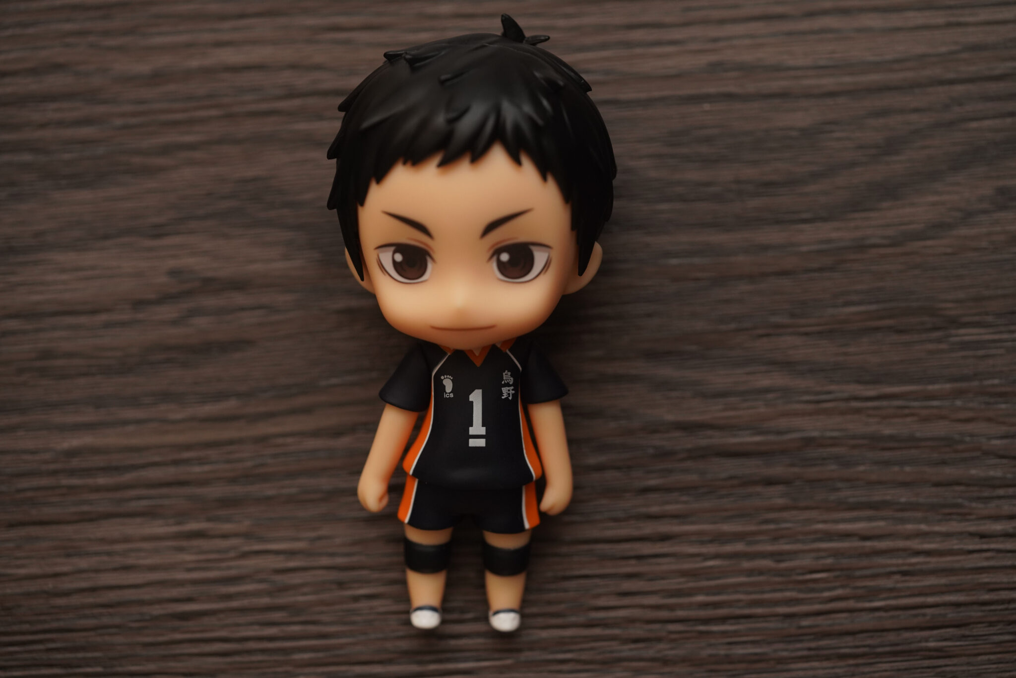 nendoroid daichi