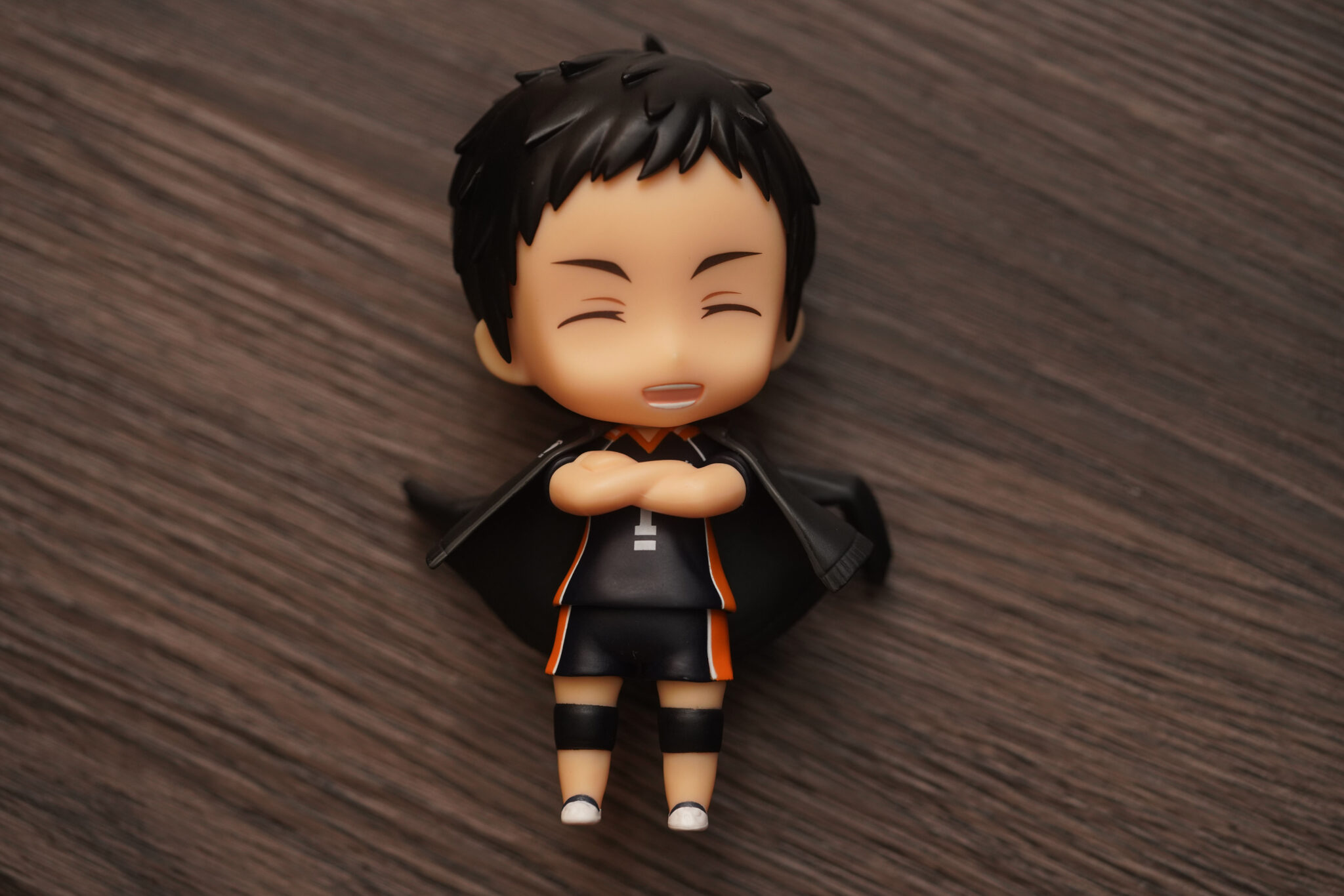 nendoroid daichi