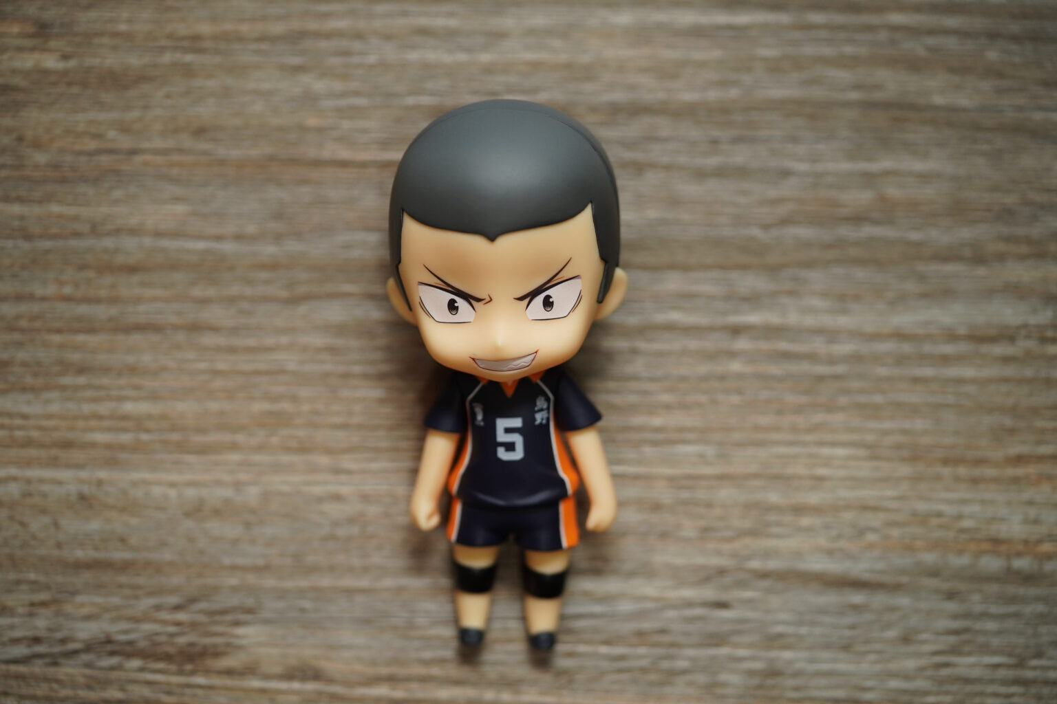 tanaka nendoroid