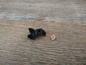 toy-review-figuarts-dragon-ball-bardock-philippines-6